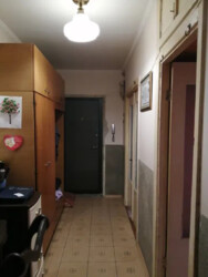 ��������� �������� ���������� �. ���., ��������, ������������, ������� ���� 5