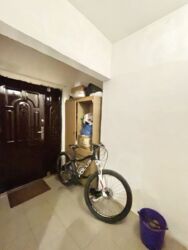 ��������� �������� ��������� �. ���., ��������, ������������, �������� ���� 17