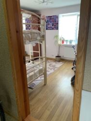 ��������� �������� ������, ����������, ������������ ���� 7