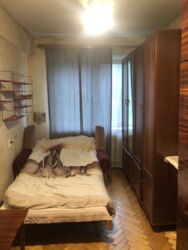 ��������� �������� ����������� ���., ��������, ������������, ������ ���� 5