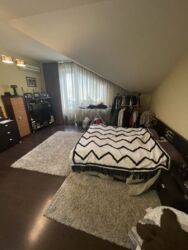 ��������� �������� ��������, ������������, ������ ���� 7