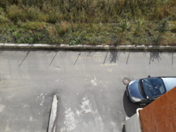 ��������� �������� ��������� �. ���., ��������, ������������, �������� ���� 33