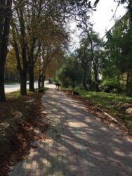 ��������� �������� �������� ���., ��������, ������������, ������ ���� 12