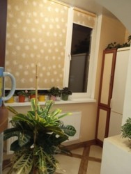 Продається квартира Тернопільська, Тернопіль, Дружба, Лучаківського вул. фото 5 Продається квартира Тернопільська, Тернопіль, Дружба, Лучаківського вул. фото 5