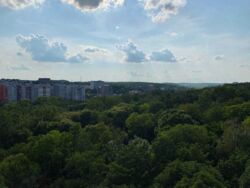 Продається квартира Тернопільська, Тернопіль, Дружба, Чумацька вул. фото 13 Продається квартира Тернопільська, Тернопіль, Дружба, Чумацька вул. фото 13