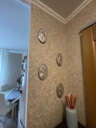 ��������� �������� ��������, ������������, ������ ���� 17