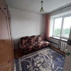 ��������� �������� ������� �. ��., ��������, ������������, ������� ���� 8