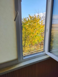 Продається квартира Тернопільська, Тернопіль, Сонячний, Корольова С. вул. фото 9 Продається квартира Тернопільська, Тернопіль, Сонячний, Корольова С. вул. фото 9