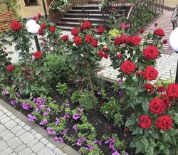 ��������� �������� ������� �. ��., ��������, ������������, ������� ���� 8