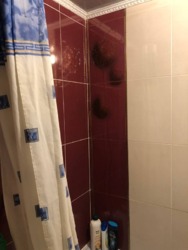 Продається квартира Київська вул., Тернопіль, Тернопільська, Сонячний фото 9 Продається квартира Київська вул., Тернопіль, Тернопільська, Сонячний фото 9