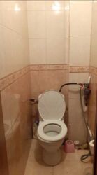 ��������� �������� ������������� �. �-�, ��������, ������������, ������ ���� 12