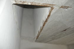 ������ 4-������� 2-������ �������� �� ������� ���� 14