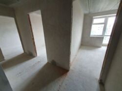 ��������� �������� ����������� ���., ��������, ������������, ������ ���� 17