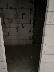 ��������� �������� ����������� �. ���., ��������, ������������, ������ ���� 8