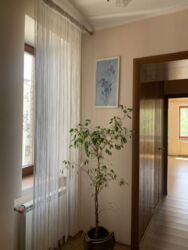 ��������� �������� ³������ ���., ��������, ������������, ����� ��� ���� 6