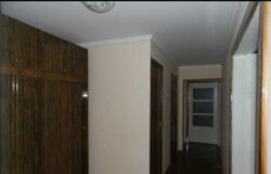 ��������� �������� ������������� �. �-�, ��������, ������������, ������ ���� 6