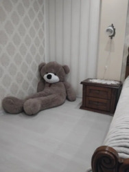 Продається квартира Тернопільська, Тернопіль, Оболонь, Гайова вул. фото 9 Продається квартира Тернопільська, Тернопіль, Оболонь, Гайова вул. фото 9