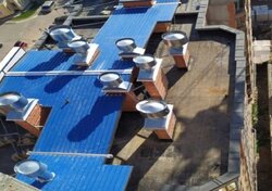 ��������� �������� ����� �. �-�, ��������, ������������, ������ ���� 11