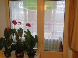 Продається квартира Острозького Князя вул., Тернопіль, Тернопільська, Центр фото 11 Продається квартира Острозького Князя вул., Тернопіль, Тернопільська, Центр фото 11