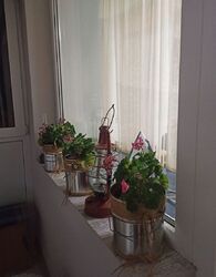 ��������� �������� ����� �. ���., ��������, ������������, �������� ���� 7