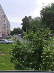 ��������� �������� ������� ����� ���., ��������, ������������, �������� ���� 12