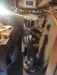 ��������� �������� ����� ���������� ���., ��������, ������������, ����� ��� ���� 11