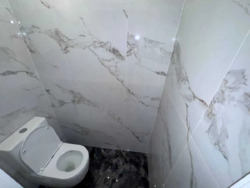 ��������� �������� ϳ��������, �������, �������������, ������������ ���� 7