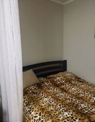 ��������� �������� ����� �. ���., ��������, ������������, �������� ���� 6