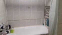 ��������� �������� ��������, ������������, ������ ���� 11