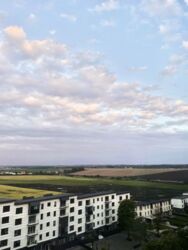 ��������� �������� ��������� �. ���., ��������, ������������, �������� ���� 18