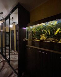 ��������� �������� 15 ����� ���., ��������, ������������, �������� ���� 2