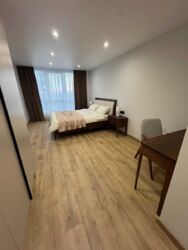 ��������� �������� ��������� ����., ��������, ������������, ������ ���� 19