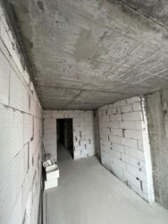 ��������� �������� ������������ ���., ��������, ������������, ������ ���� 11