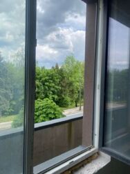 ��������� �������� ���� ���., ��������, ������������, ������ ���� 2