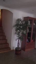 Продається квартира Тернопільська, Тернопіль, Оболонь, Тиха вул. фото 3 Продається квартира Тернопільська, Тернопіль, Оболонь, Тиха вул. фото 3