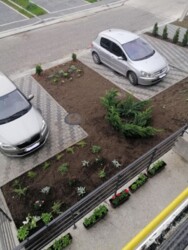 ��������� �������� ������������ ���., ��������, ������������, �������� ����� ���� 2