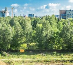 ��������� �������� ϳ����������� ����, ��������, ������������, ������� ���� 6