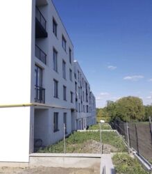 ��������� �������� �����������, �������, �������������, ������������ ���� 2