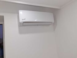 ��������� �������� ������� �., ��������, ������������, ������ ���� 11