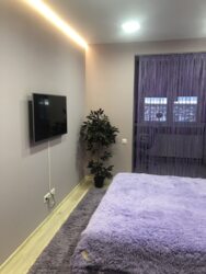 ��������� �������� ������� �������, 28, ��������, ������������, ������ ���� 11