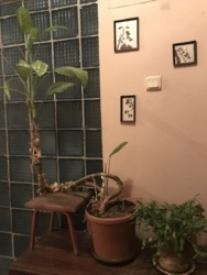 �������� � ����� �� ���� ���������! ����������! ���� 13