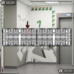 ���� ����� �������- � ��� �����! Urban City. 550$ ���� 3