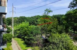 2х квартира с видом парк Горького (10метров), тихий центр, Сумской р-к фото 2 2х квартира с видом парк Горького (10метров), тихий центр, Сумской р-к фото 2