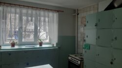 ������ 1�.�������� 17� ​������� �����������, ����������� ����� ���� 11