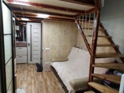 ��������� �������� ��. ����������, 24�, �������, �����������, ������ ���� 1