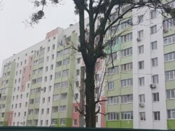 ������ 1 ����. �������� � ��������� �� ����-3 ��� ���� ����� ���� 6