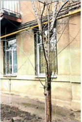 Продам 2х к кв ул.Чайковская, центр, м. Пушкинская фото 2 Продам 2х к кв ул.Чайковская, центр, м. Пушкинская фото 2