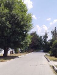 �� ���������� � ��������� ������ ������ ��������. ���� 4