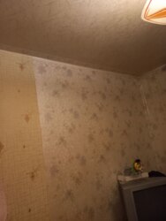 ������ 2����. ��������. ����������. ������. ����� ����. ����. ������ ������. ���� 5