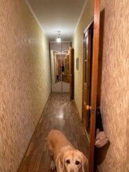 Продам 2к. квартиру П.Поле фото 5 Продам 2к. квартиру П.Поле фото 5